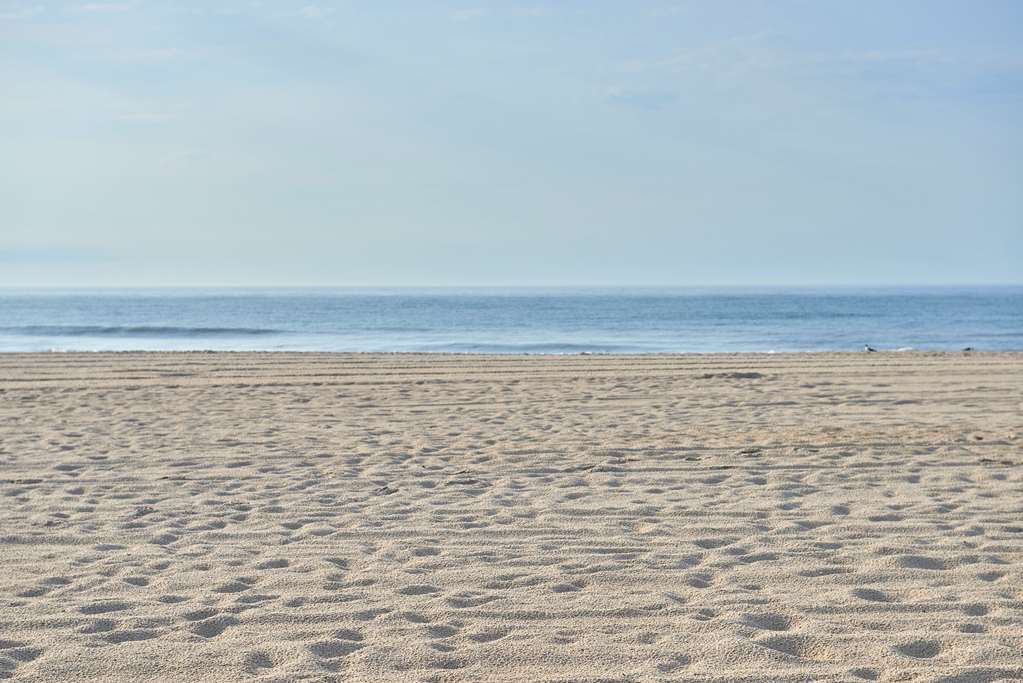 Drifting Sands Oceanfront Hotel Ship Bottom Extérieur photo